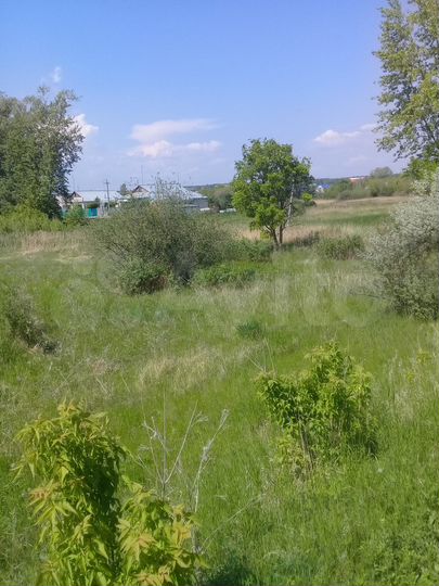 Участок 13,5 сот. (ИЖС)