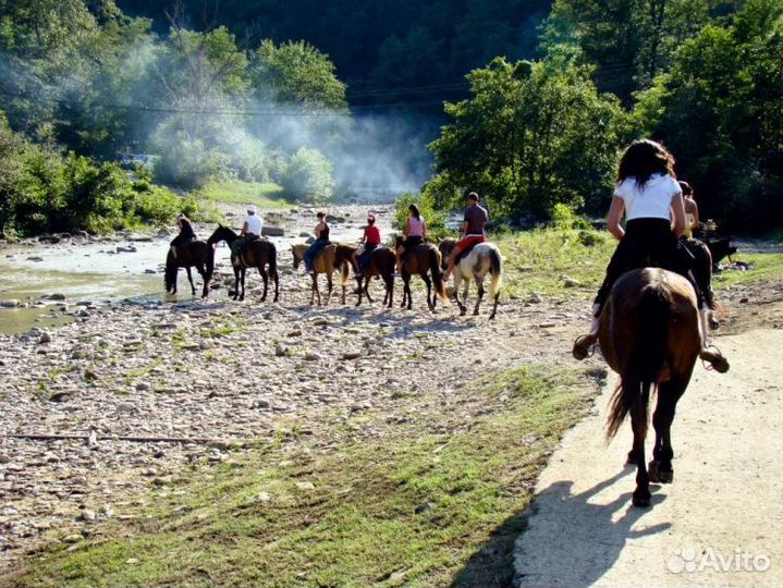 Конные прогулки на лошадях Сочи Адлер Сириус