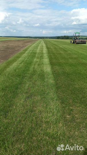 Рулонный газон премиум