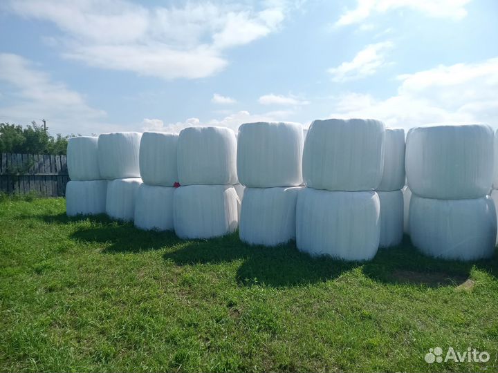 Сено в вакуумной упаковке