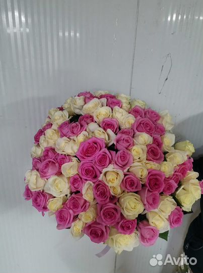 Розы, букет цветов 101 роза