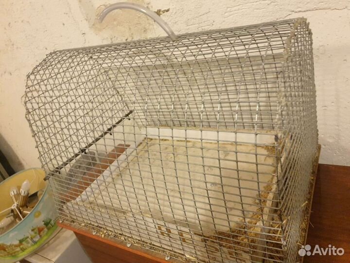 Клетка для животных