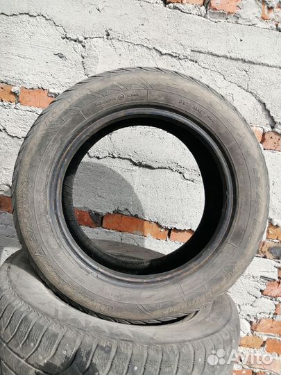 Goodyear Eagle Performance Touring 195/65 R15