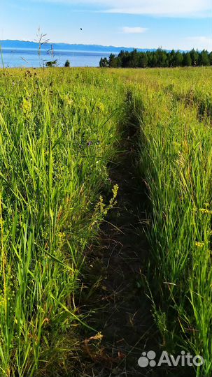 Пеший тур Байкал