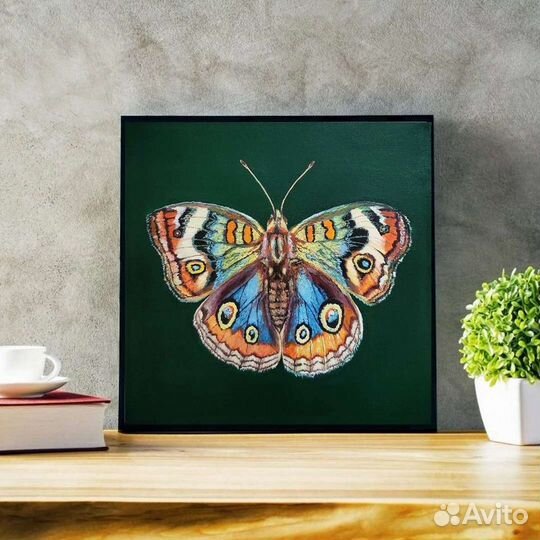 Бабочка. Картина маслом
