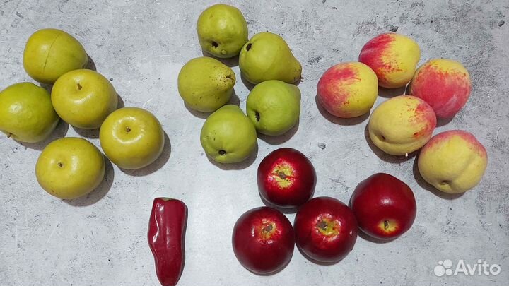 Муляжи овощи фрукты