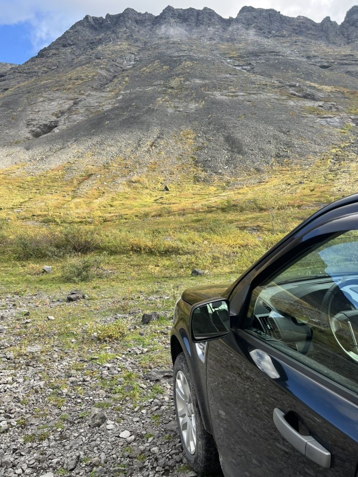Land Rover Freelander: фото владельца