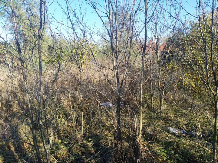 Участок 6 сот. (ИЖС)