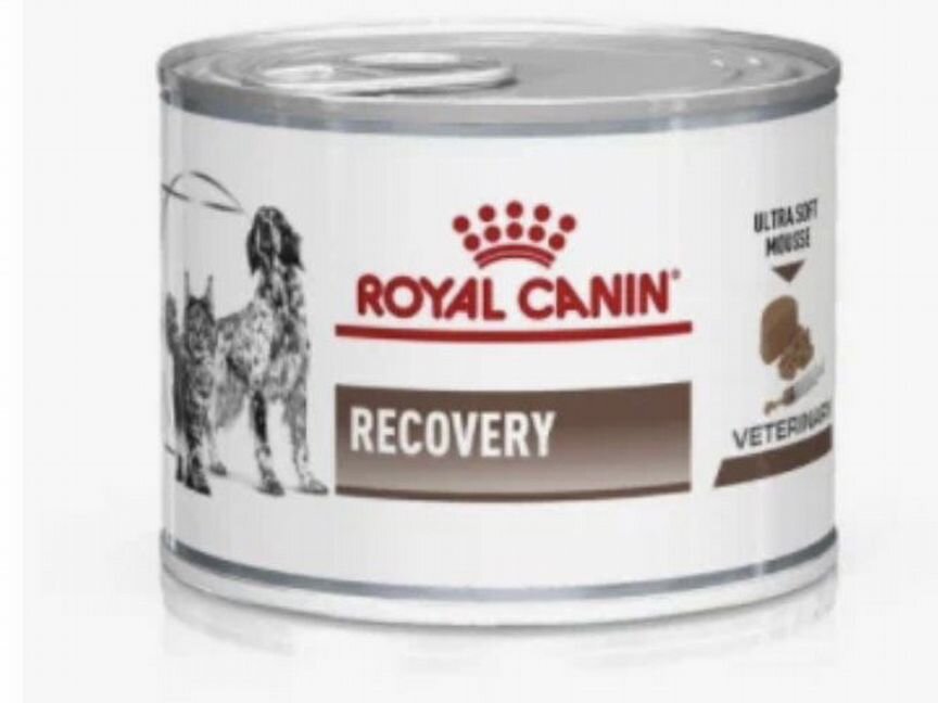 Влажный корм Recovery Royal Canin