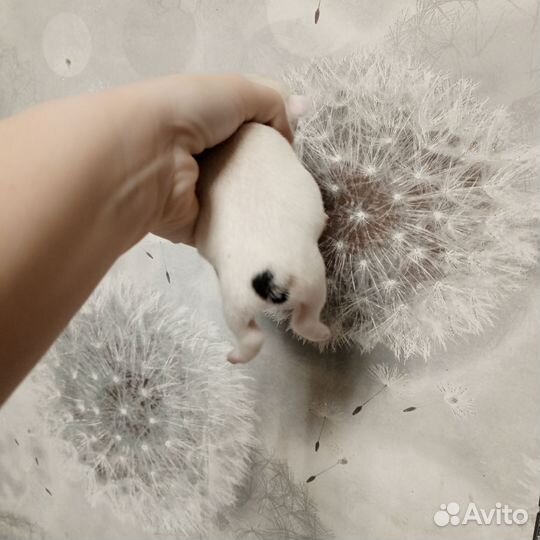 Красавчик мужчина