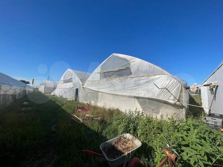 Участок 8,5 га (ИЖС)