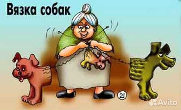 Инструктор по вязкам собак