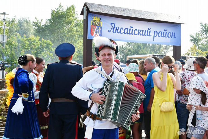 Баянист на праздник