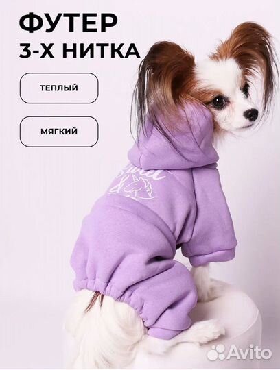 Спортивный костюм для собак