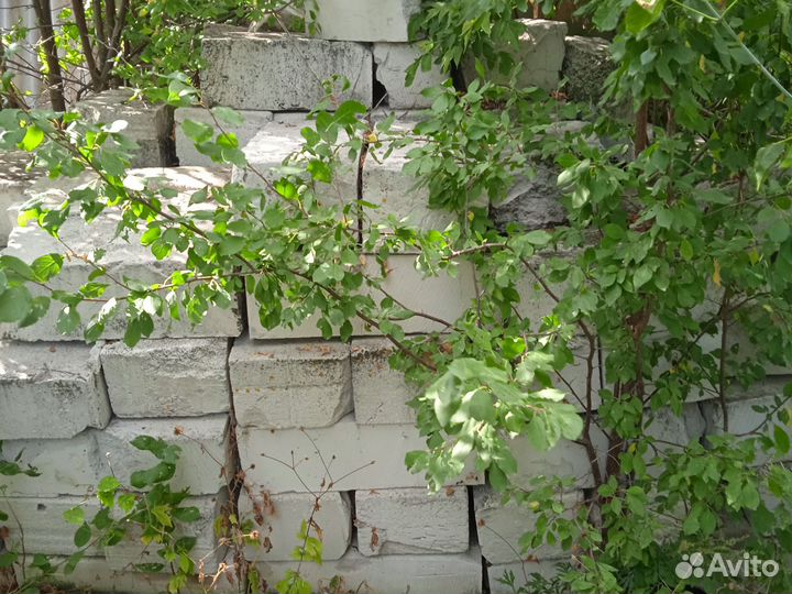 Бетонные плиты,газовые блоки,пасонки