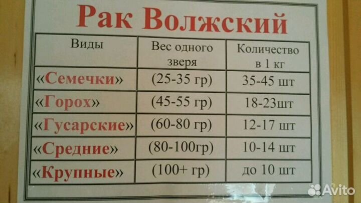 Живые раки