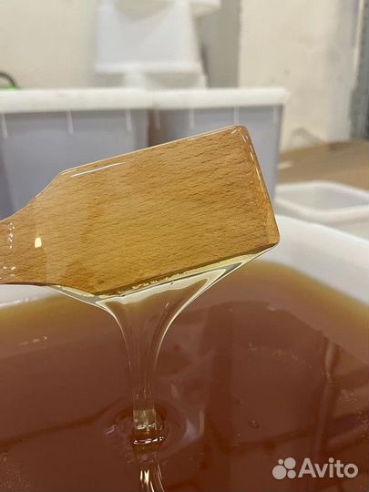 Майский мед свежий только опт