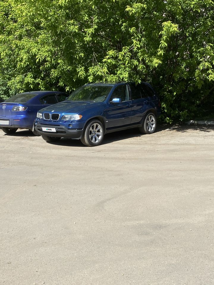 BMW X5: фото владельца