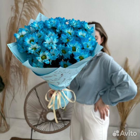 Букет из голубых хризантем