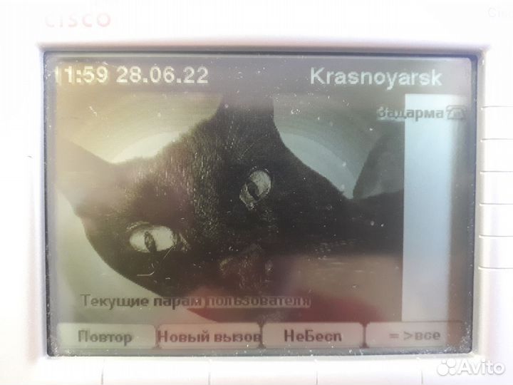 Телефонный аппарат Cisco 7961