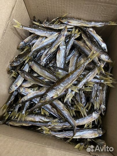 Корюшка вяленая