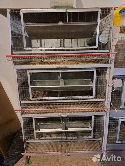 Клетки для кур, перепелов, брудер для цыплят