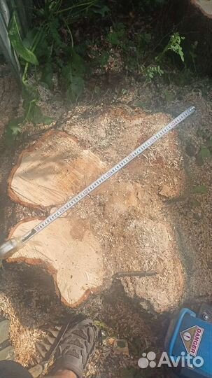 Дробление пней