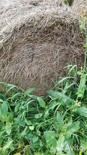 Солома в рулонах