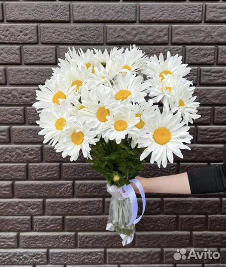 Ромашки цветы букеты