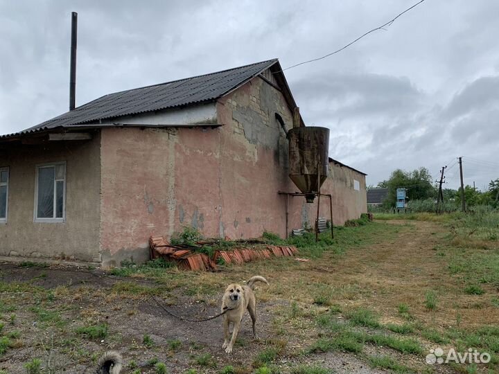 Маслоцех, кузница