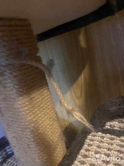 Когтеточка домик для кошки