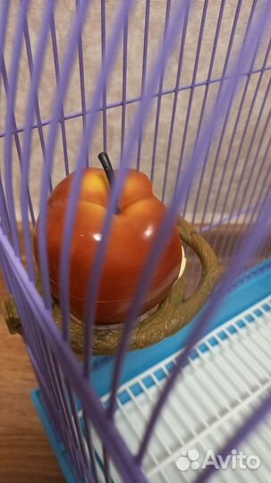 Клетка для птиц