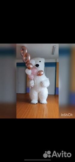 Аниматор медведь