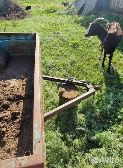 Автоприцеп для легкового автомобиля