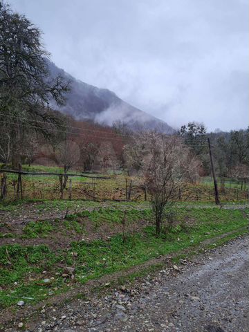 Участок 20 сот. (ИЖС)