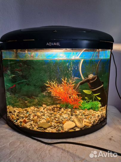 Аквариум