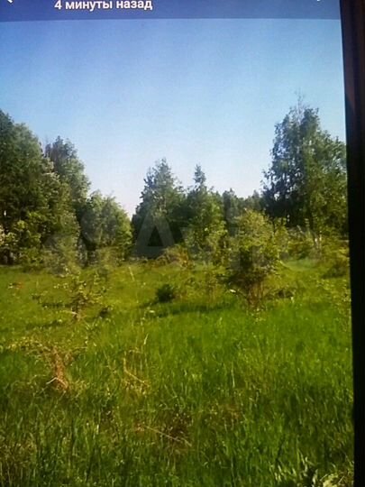 Участок 15 сот. (ИЖС)