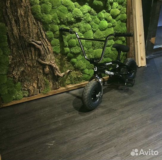 Картины из мха и растений