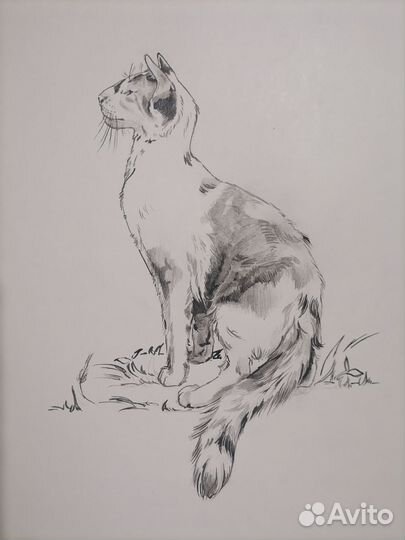 Комплект рисунков