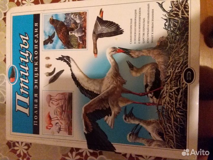 Книги для школы