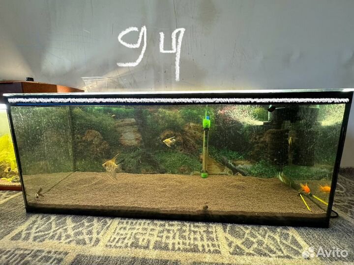 Аквариум с рыбками бу