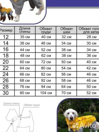 Плащ для собаки