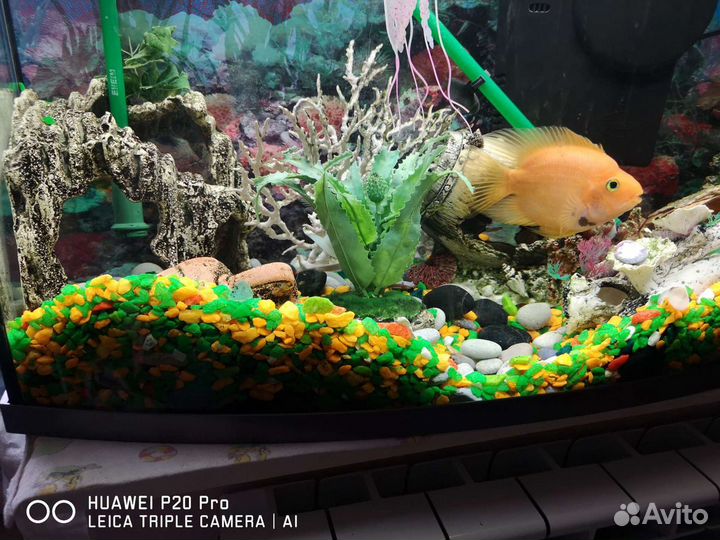 Аквариум Tetra AquaArt 130