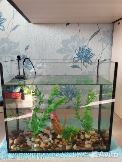 Аквариум