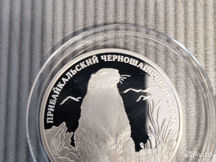 Монета Прибайкальский черношапочный сурок 2008 год