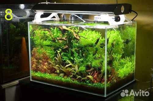 Аквариум 30 литров (креветочник)