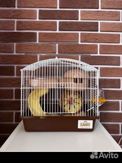 Клетка для грызунов