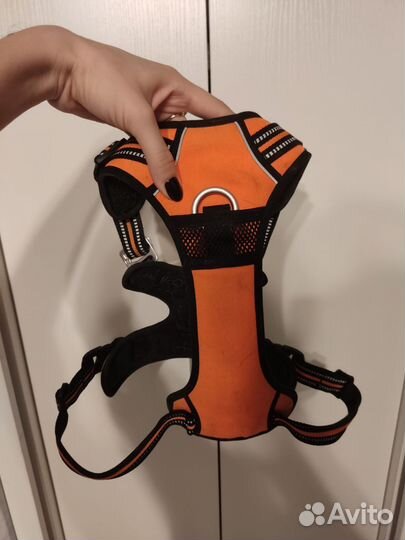 Шлейка и поводки для собак