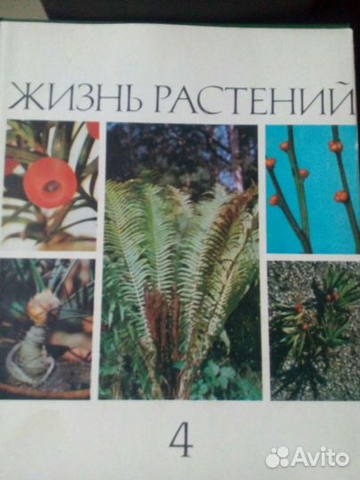 Книги. Сборник