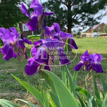 Дом 191,3 м² на участке 15,9 сот.